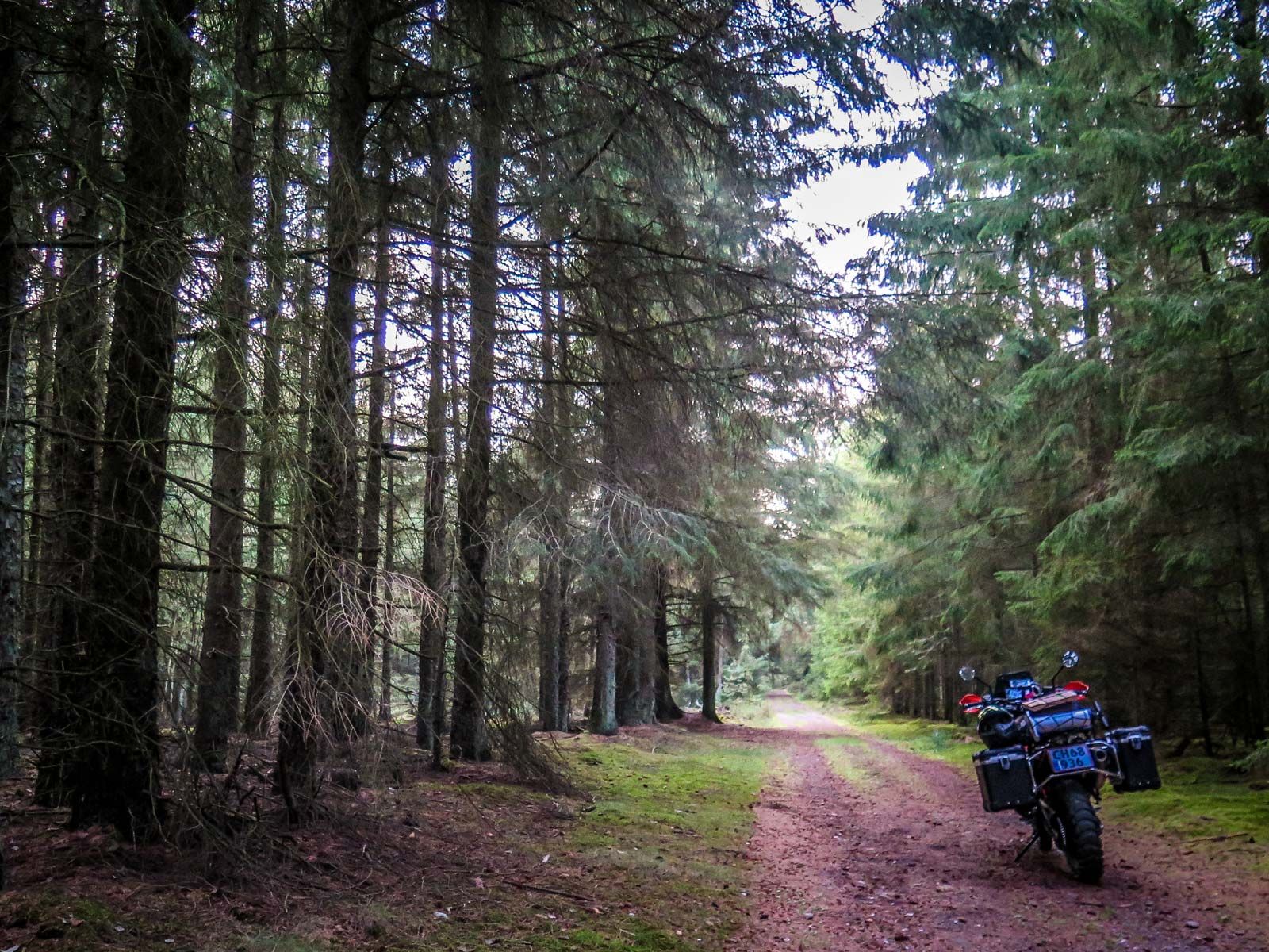 KTM Shakedown Ride, Denmark